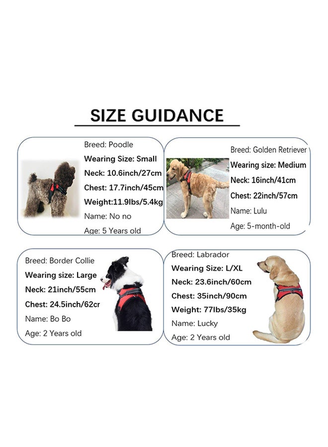 حزام كلب قابل للتعديل أحمر وأسود - Image 4