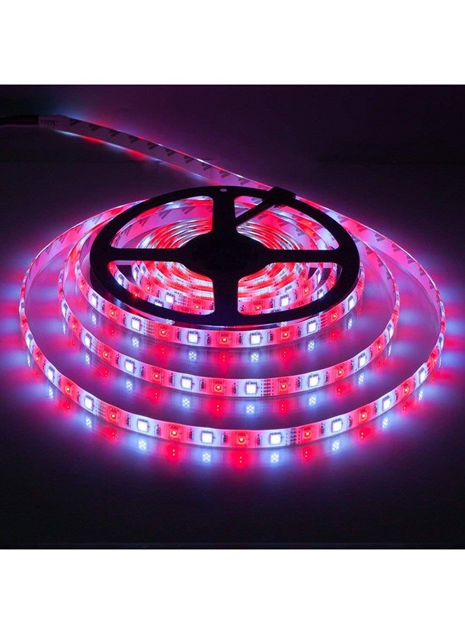 LED Strip Light Red/Green/Blue 5meter - Image 3
