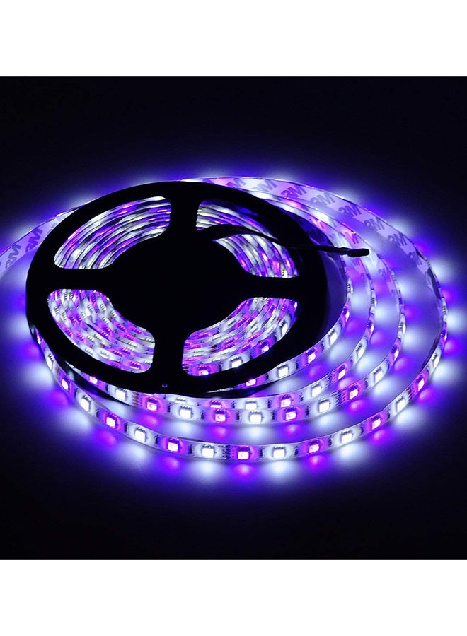 LED Strip Light Red/Green/Blue 5meter - Image 4