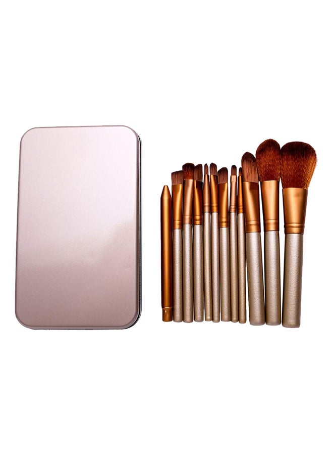 طقم فراشي مكياج مكون من 12 قطعة مع حقيبة فضي / ذهبي