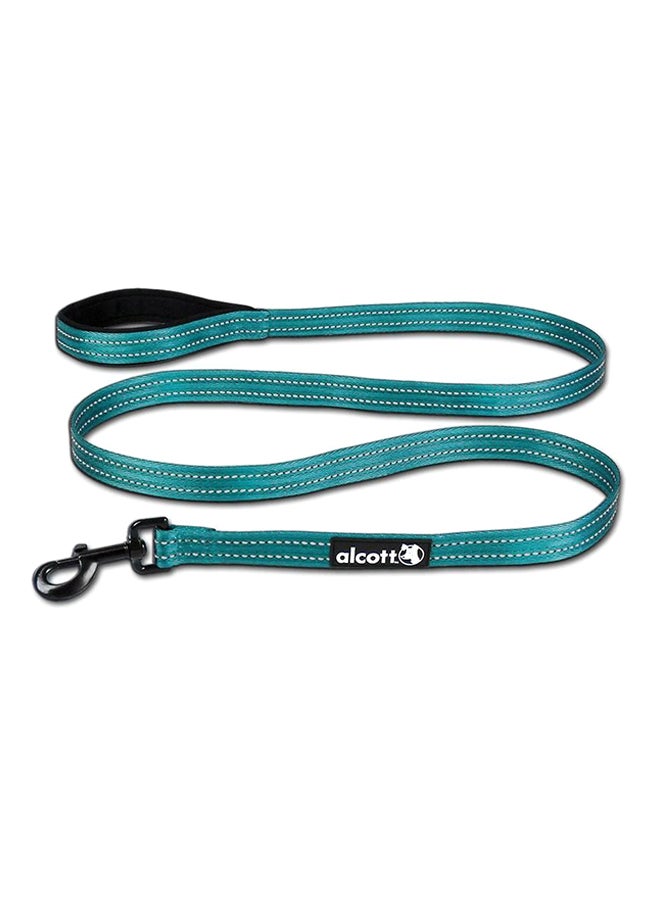 Adventure Dog Leash Blue/Black L - v1538057545/N17965529A_1