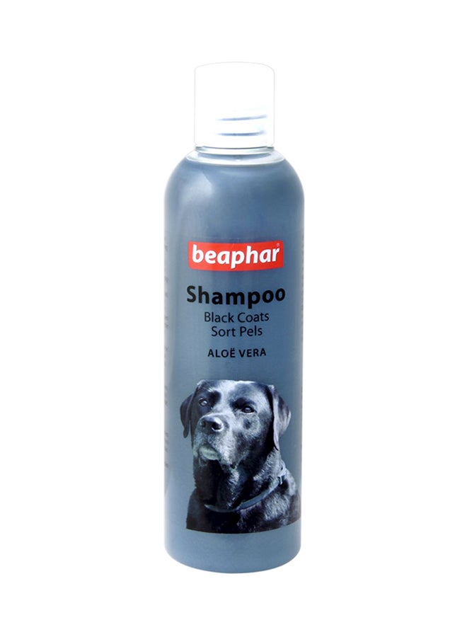 beaphar - Aloe Vera Shampoo For Black Coated Dogs 250ml - Image 1