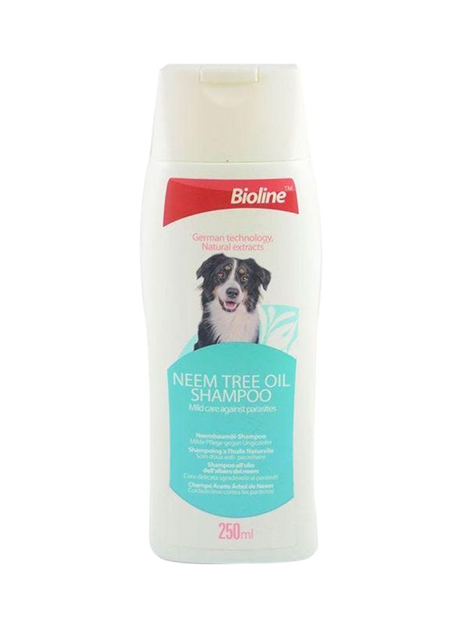 بايولاين شامبو زيت شجرة النيم متعدد الألوان 250ملليلتر