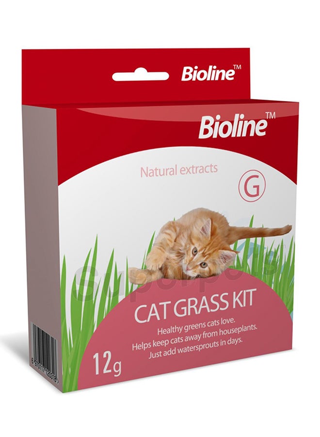 بايولاين عشب للقطط 12جرام