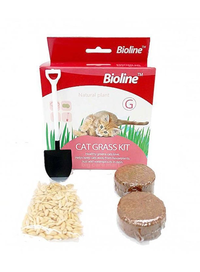 بايولاين عشب للقطط