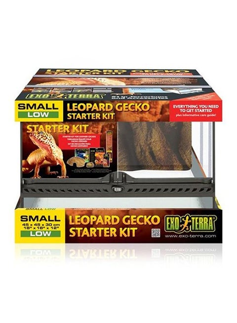 Leopard Gecko Starter Kit Multicolour
