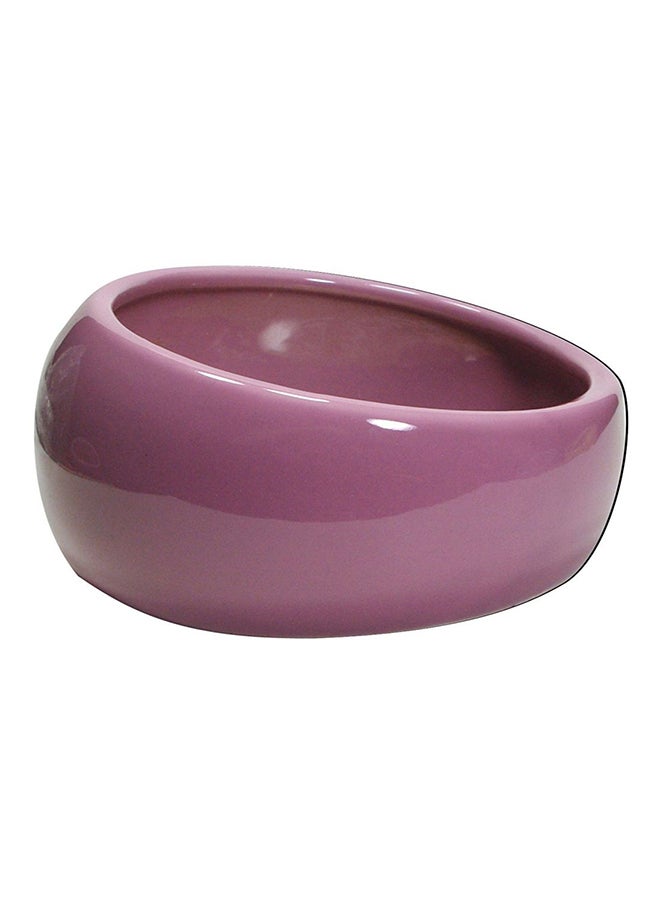 وعاء طعام من السيراميك أرجواني L