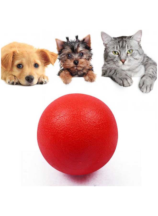 لعبة كرة بازل أحمر Large - Image 2