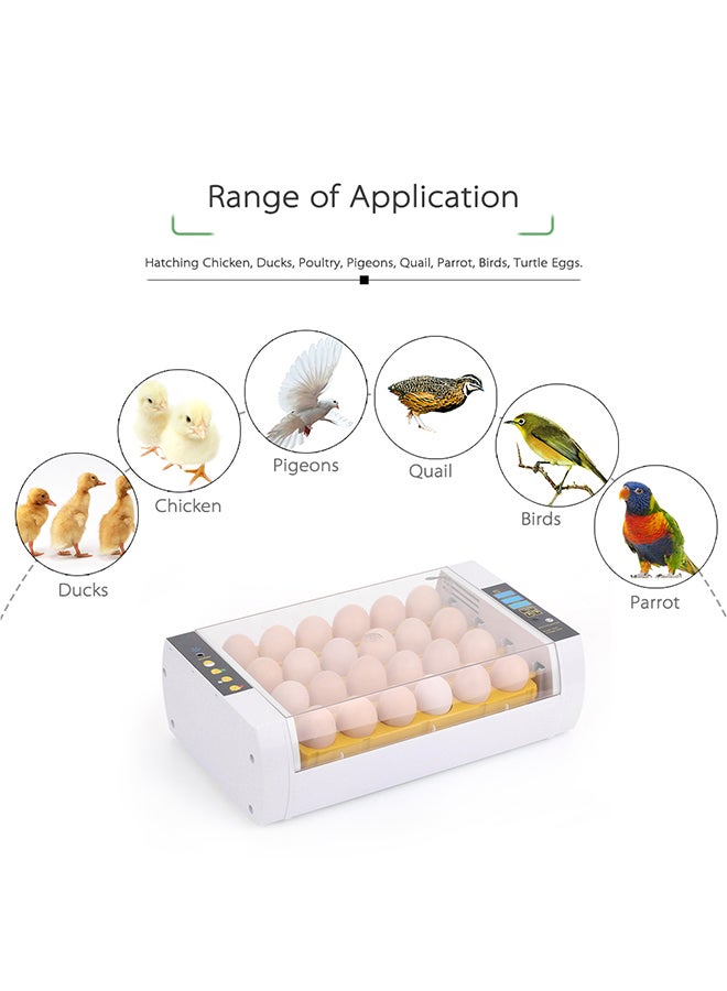 ANSELF - 24-Eggs Automatic Egg Incubator Clear/White - Image 1