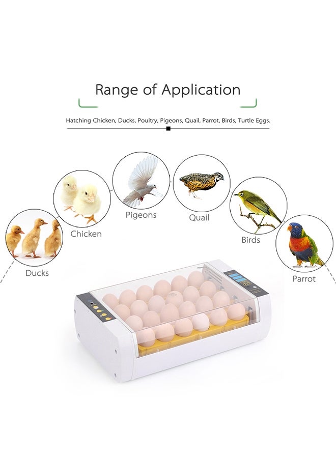 ANSELF - 24-Eggs Automatic Egg Incubator VG-2 Clear/White - Image 1
