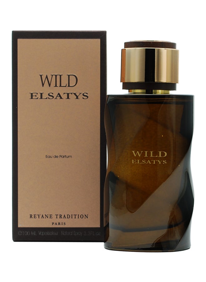 ماء عطر وايلد إيلستايز 100ملليلتر - v1539078616/N18287182A_1