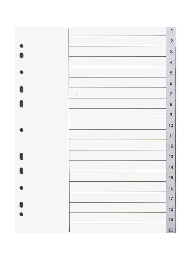 Deluxe Amt 20-Piece Index Divider With Number Grey 
