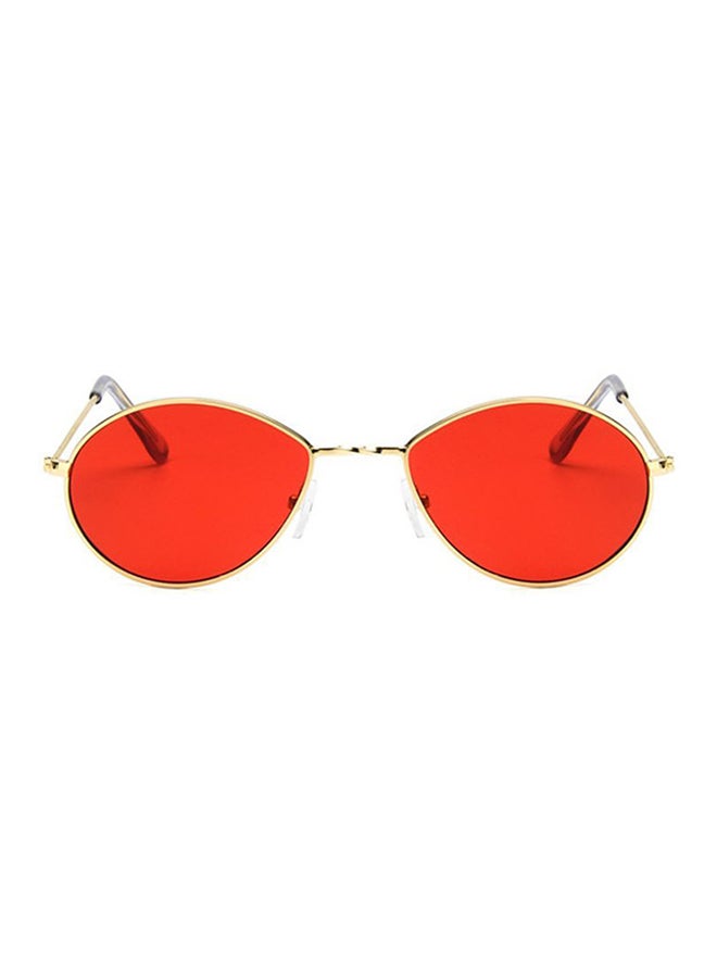 أوتاد نظارات شمسية بيضاوية - Image 3