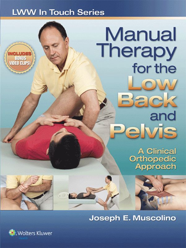 Manual Therapy For The Low Back And Pelvis: A Clinical Orthopedic Approach Paperback English by Joseph E. Muscolino - 25-Mar-14 