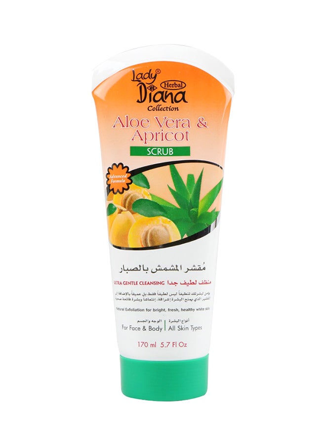 Lady Diana Aloe Vera And Apricot Scrub 170ml  - Image 1
