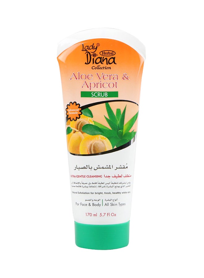 Lady Diana 12-Piece Aleo Vera And Apricot Face And Body Scrub 12x170ml  - Image 1