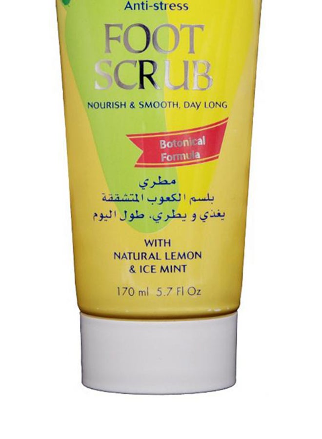 Lady Diana 12-Piece Anti-Stress Foot Scrub With Lemon And Ice Mint 12x170ml  - Image 3