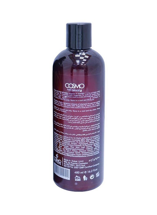 كوزمو 12 عبوة من شامبو زيت الأركان وبروتين القمح 12x480ملليلتر - Image 2