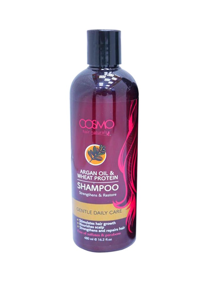 كوزمو 12 عبوة من شامبو زيت الأركان وبروتين القمح 12x480ملليلتر - Image 1