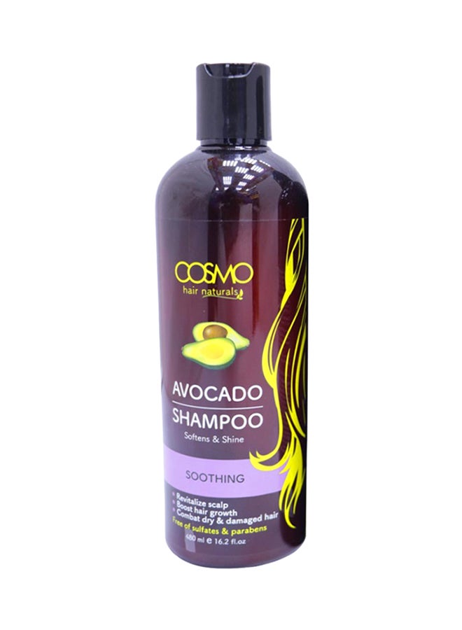 كوزمو 12 قطعة من شامبو ملطف بالأفوكادو 12x480ملليلتر - Image 1