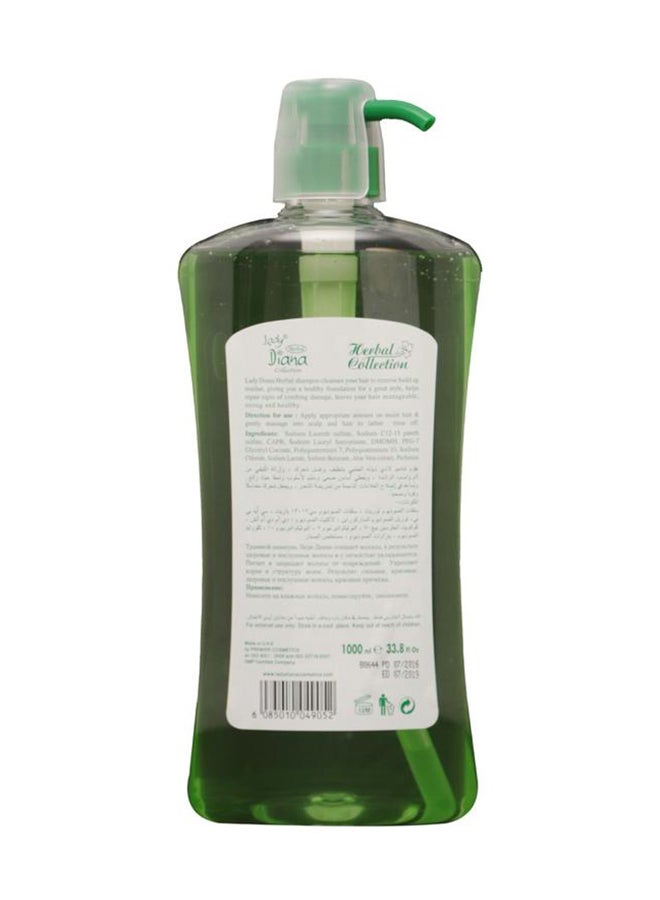 Lady Diana 12-Piece Botanical Aleo Vera Shine Shampoo 1000ml  - Image 2