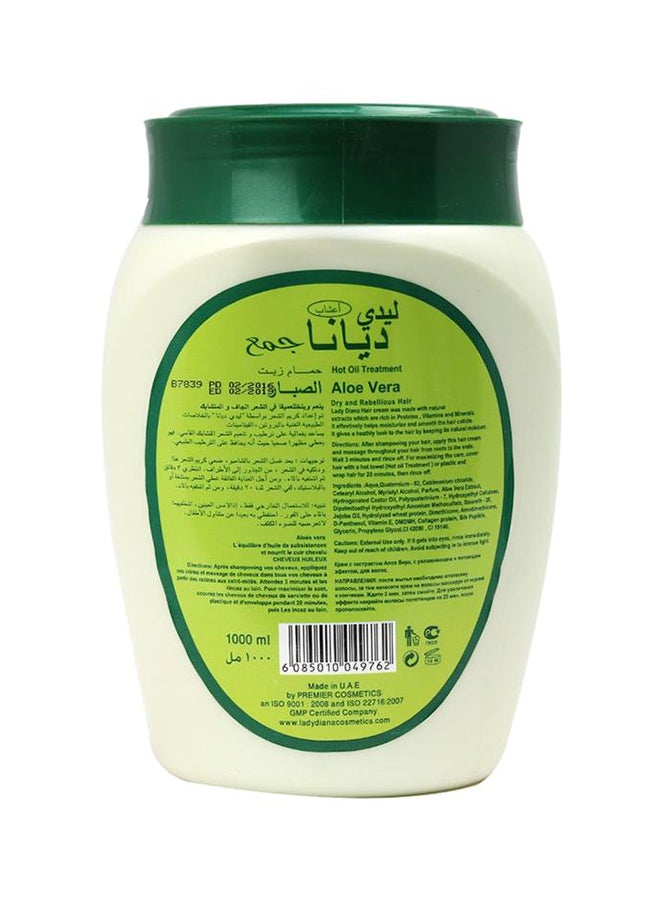 Lady Diana 12-Piece Aloe Vera Intensive Nourishment Hair Cream 1000ml - Image 2