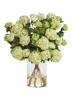 Snowball Water Garden With Container Green/Clear