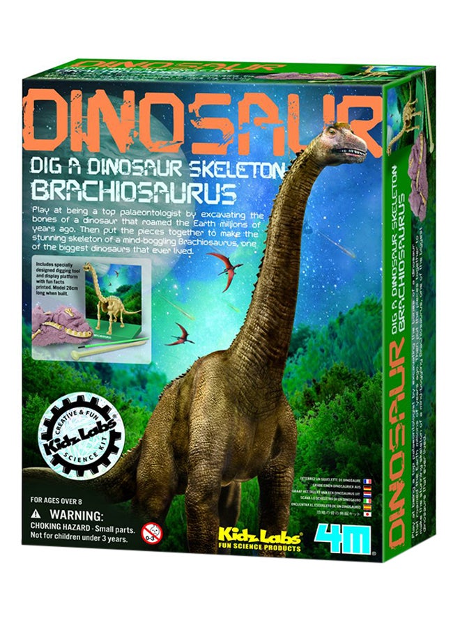 4M لعبة براكيوسوراس سكيلتون إكسكافيشن التعليمية من لابز ديج