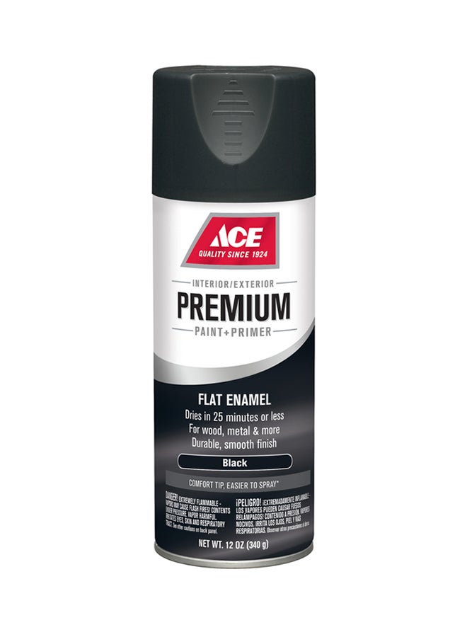 ACE Spray Paint Flat Black