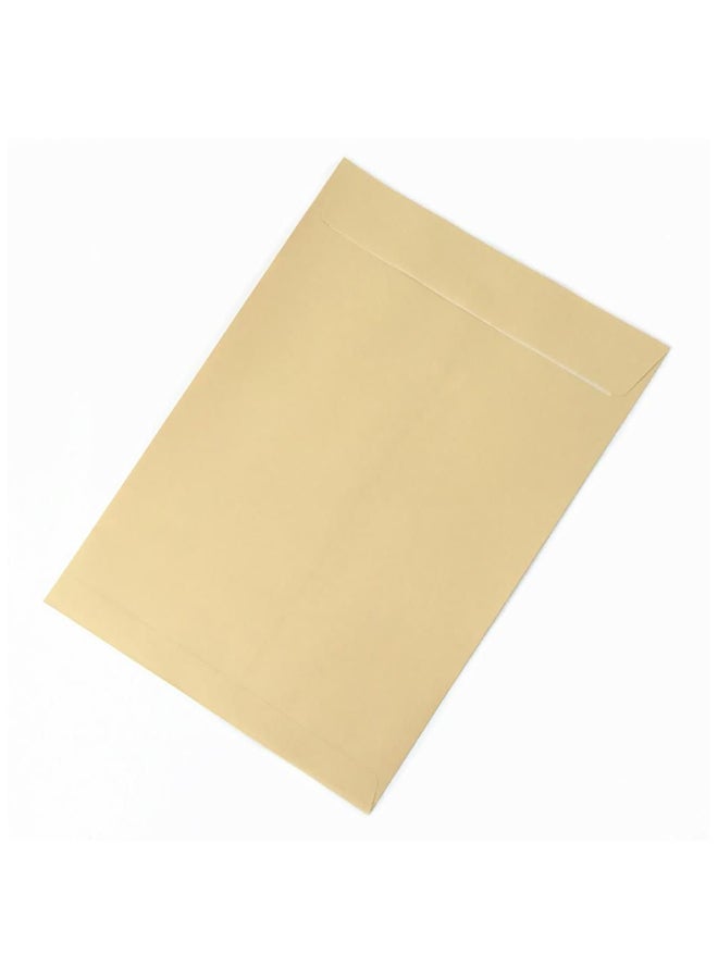 paperline A4 Peal And Seal Kraft Envelop Beige  - Image 3