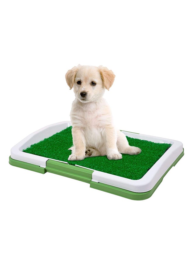 Generic Puppy Potty Trainer Green/White  - Image 1