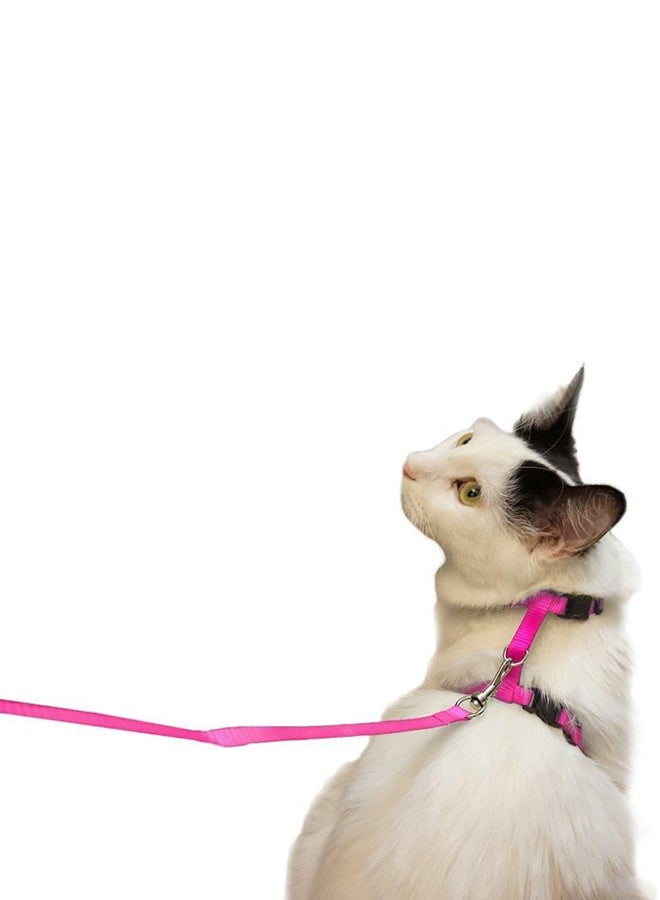 Adjustable Nylon Harness Pink/Black - Image 2