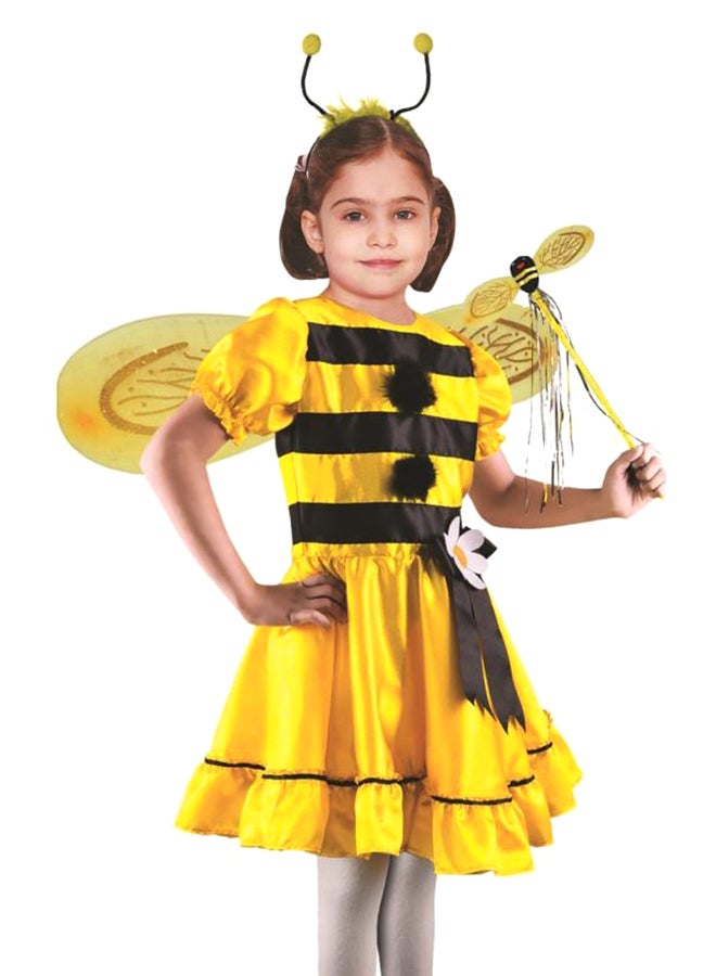 Oulabi Mir - Bee Frock Costume - Image 1