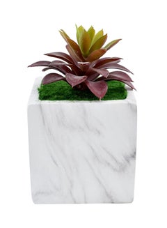 Yatai Plastic Artificial Succulent Plant With Pot White/Maroon/Green  - Image 1