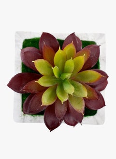 Yatai Plastic Artificial Succulent Plant With Pot White/Maroon/Green  - Image 3