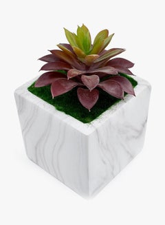 Yatai Plastic Artificial Succulent Plant With Pot White/Maroon/Green  - Image 2