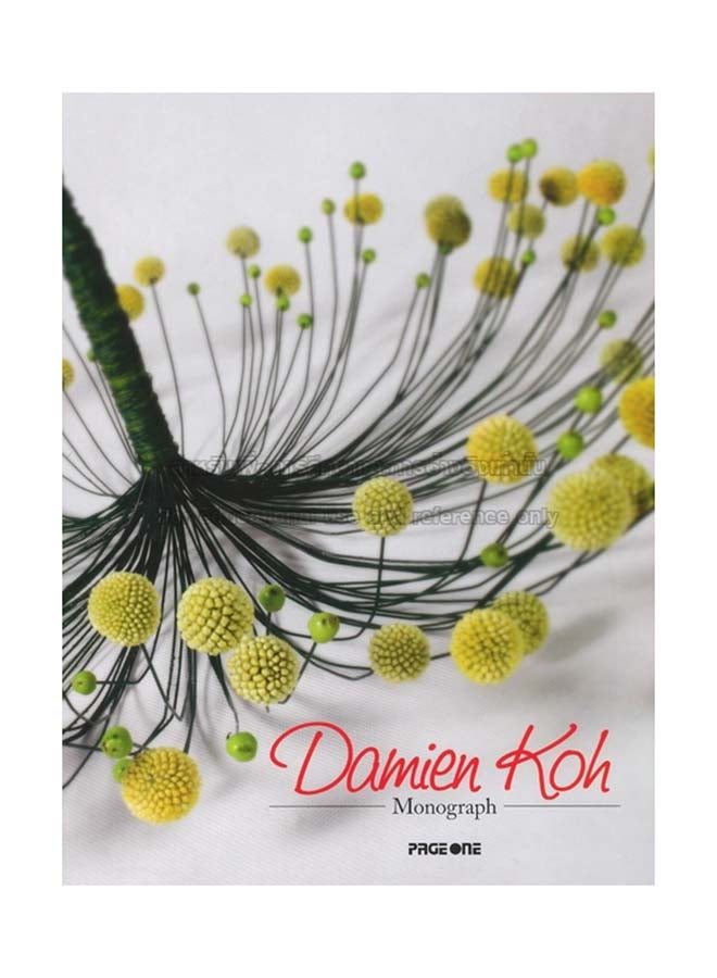 Damien Koh Monograph - Paperback English by DAMIEN KOH