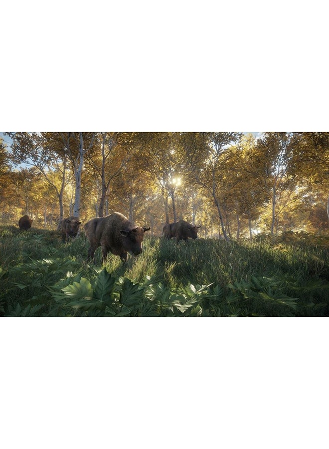 Avalanche Studios - The Hunter : Call of the Wild - (Intl Version) - Simulation - PlayStation 4 (PS4) - Image 1