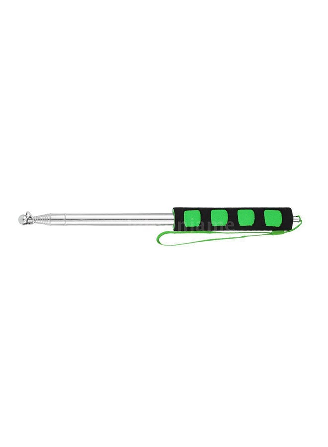 Generic - Stainless Steel Telescopic Flag Pole Green/Silver - Image 1