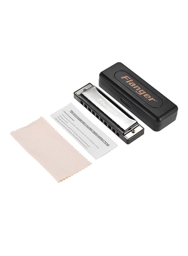 Generic Harmonica Standard With Case Key  - Image 1