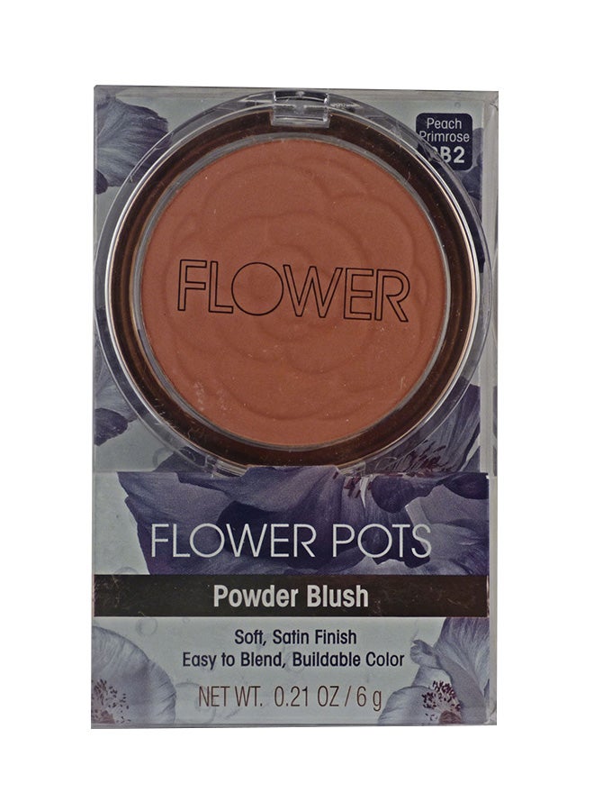 FLOWER Pots Powder Blush Peach Primrose - Image 2