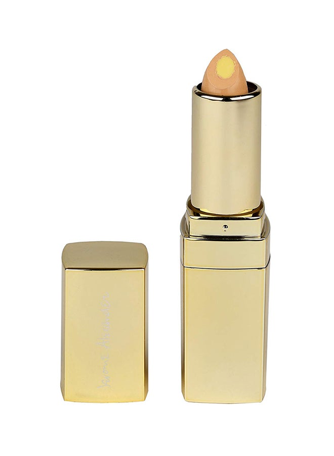 Jerome Alexander - All-In-One Concealer Stick Brown - Image 1