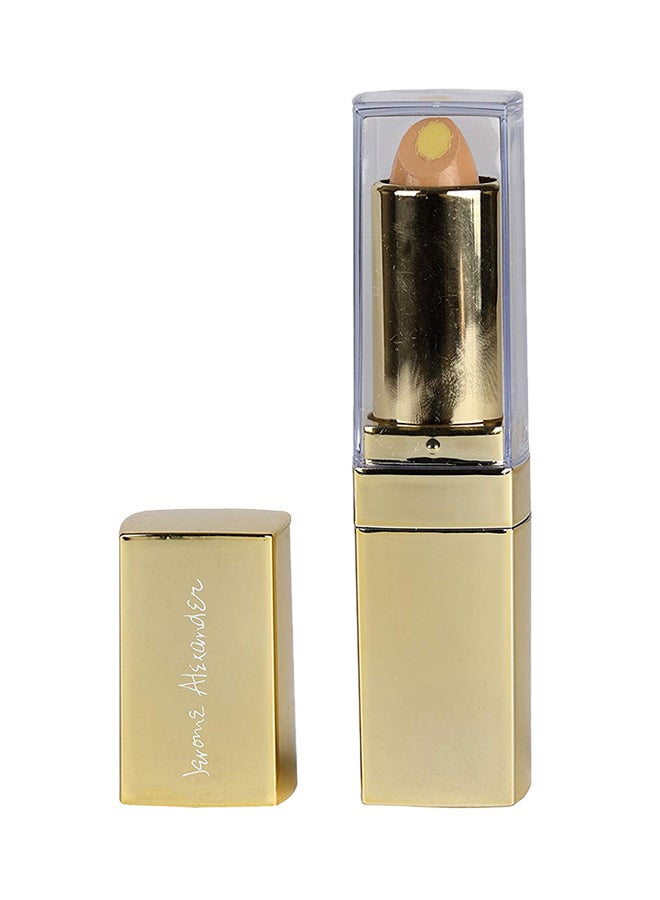 Jerome Alexander - All-In-One Concealer Stick Brown - Image 1