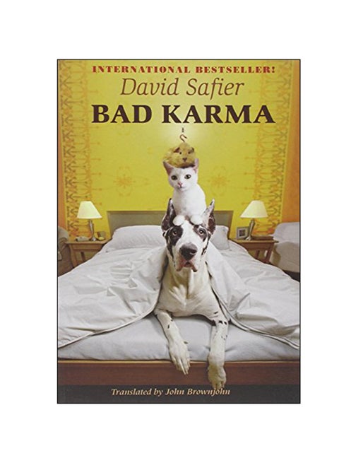 Bad Karma Paperback English by David Safier - 15 Apr 2013