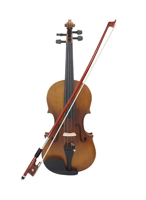 Violin With 4-String And Accessories