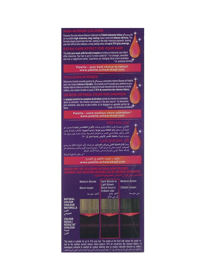 Schwarzkopf - Palette Intensive Color Creme 6.99 Intense Violet 50ml , 50ml , & 10ml - Image 1