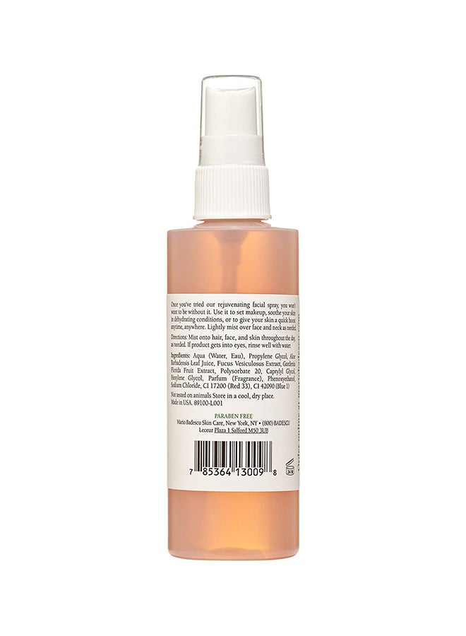 Facial Spray With Aloe, Herbs And Rosewater Clear 118ml