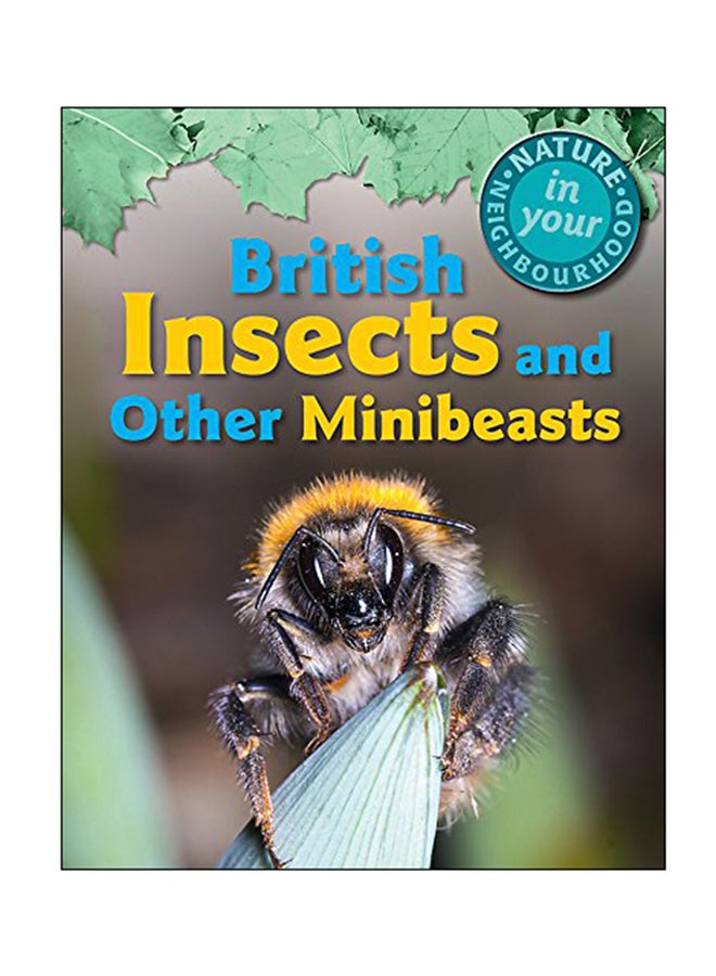 Nature In Your Neighbourhood: British Insects And Other Mini Paperback English by Clare Collinson - 2018 