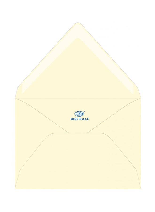 FIS 25-Piece Executive Laid Paper Glued Envelope Set White - Image 1