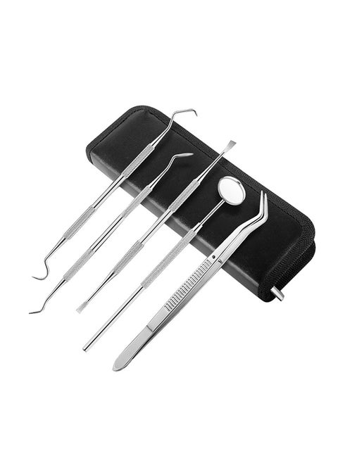 5-Piece Teeth Scraper Dental Tool Set Silver